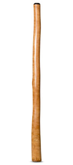 CrookedStixz Didgeridoo (AH329)